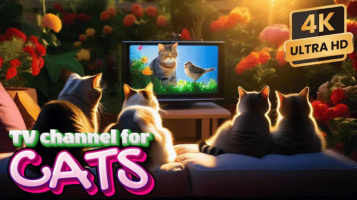 Videos for Cats to Watch - 8 Hour Birds Bonanza - Cat TV Bird Watch