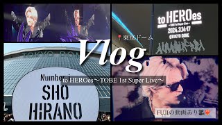 【現場vlog】to HEROes〜TOBE 1st Super Live〜🎤❤️‍🔥┊単番オタクの2日間┊FUJI🗻