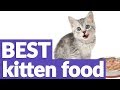 Best Kitten Food in 2019 | 10 TOP RATED Kitten Foods