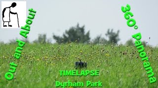 Out and About - 360° Panorama Timelapse Dyrham Park Grass Level