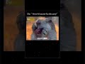 A squirrel laughing meme #meme #shorts
