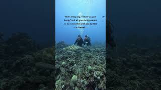 Celebrity Snorkeling in Hawaii Wealth