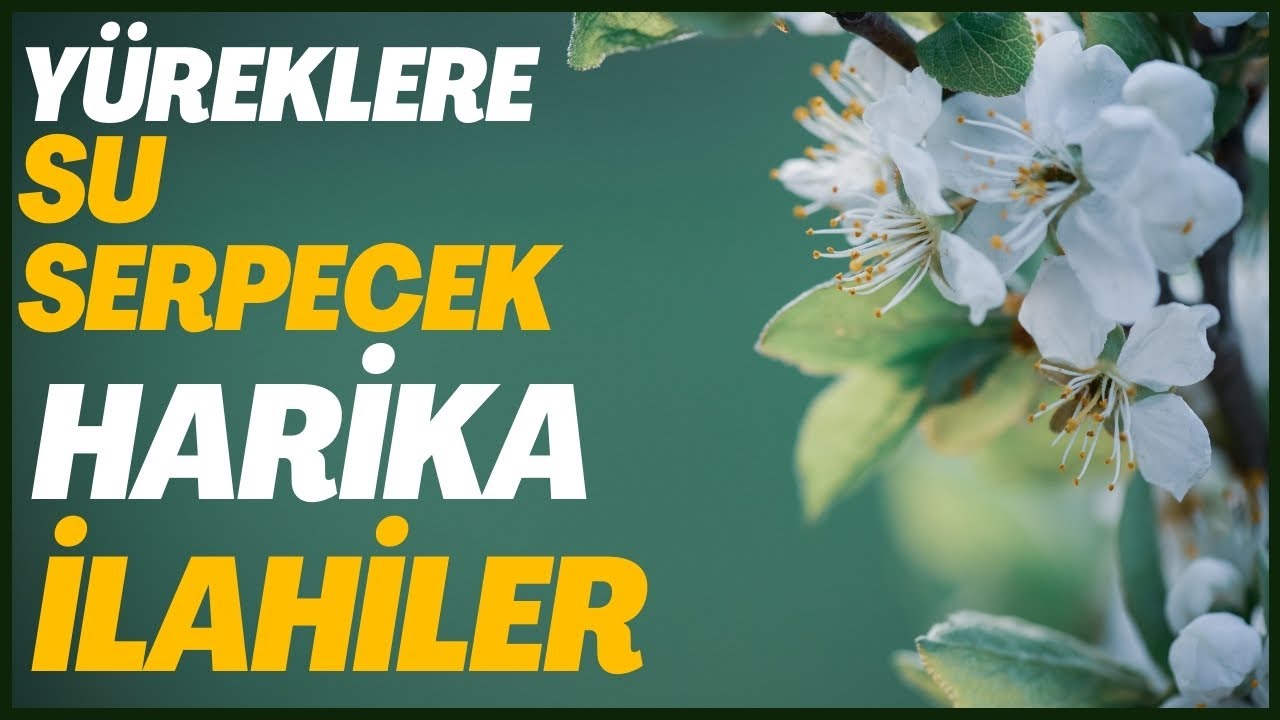 YÜREKLERE SU SERPECEK HARİKA İLAHİLER | EN GÜZEL İLAHİLER