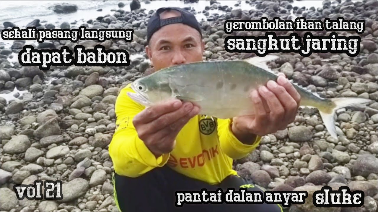 jaring ikan talang di pantai manggar sluke@SYAFII S OFFICIAL