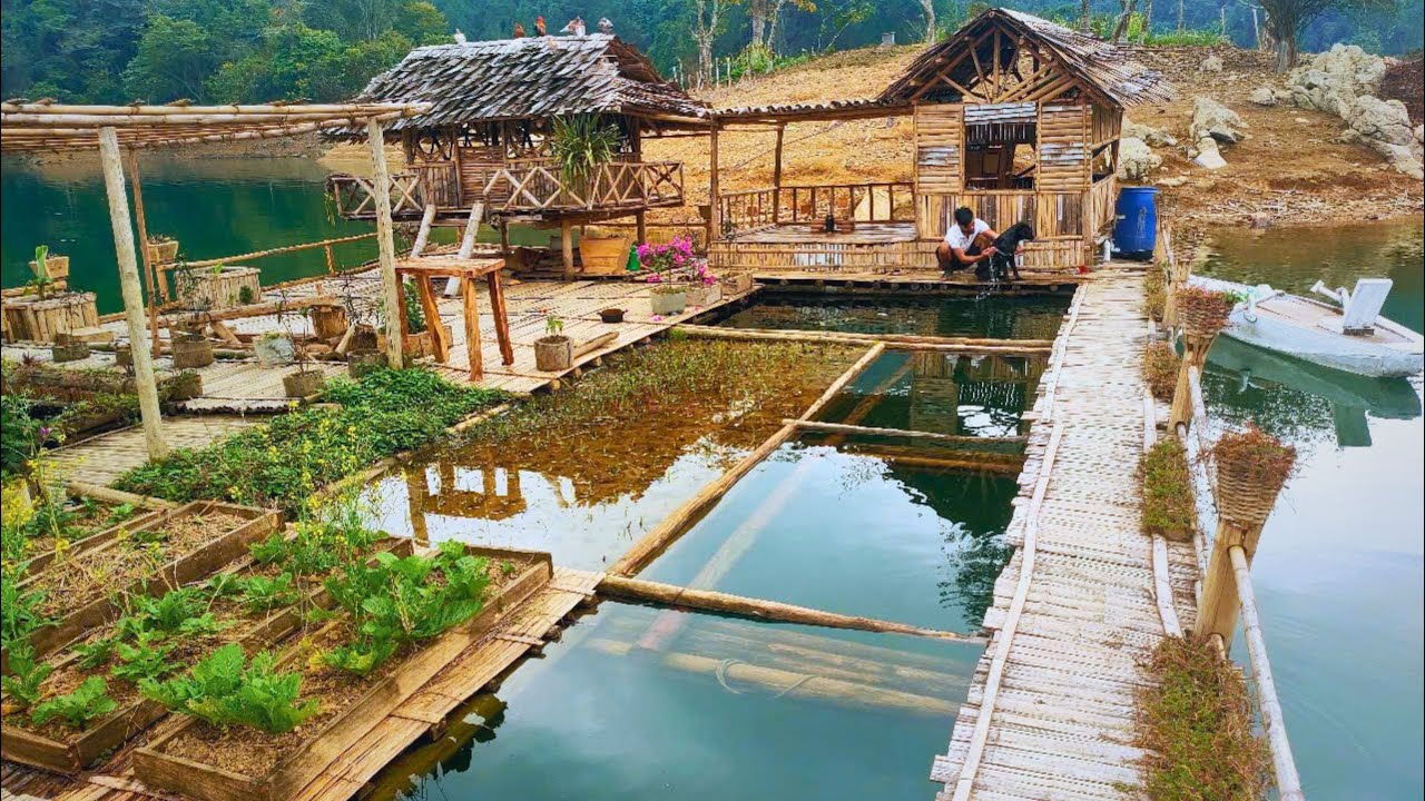 My dream bushcaft farm. Caring for an organic vegetable garden on a deserted island.