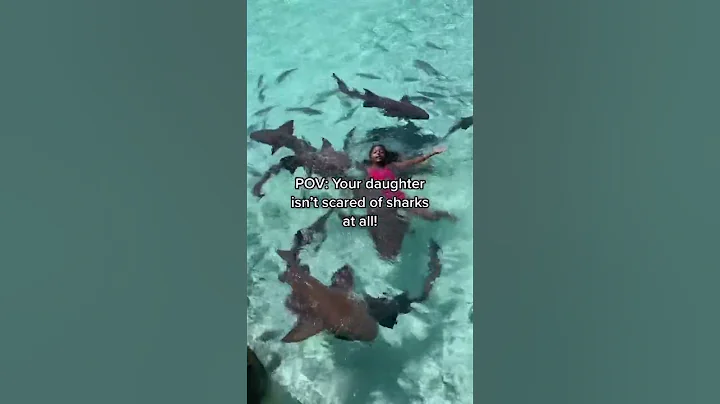 Swimming with sharks in the Bahamas! 🦈 #travel #bahamas