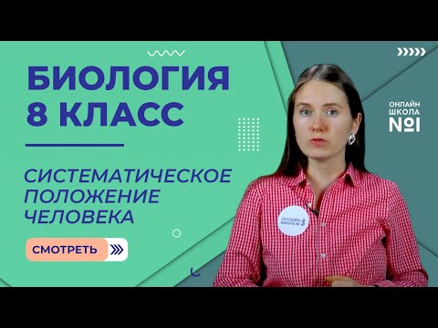 Систематическое положение человека. Видеоурок 2. Биология 8 класс