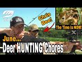 June Deer Hunting Chores