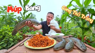 Mang Hết Cá Xộp Và Trê Đồng Đi Chưng Mắm Tép Và Lần Đầu Ăn Cùng Thỏ Trắng / Quế Nghịch