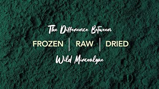 The Difference Between Frozen, Dried, and Raw AFA