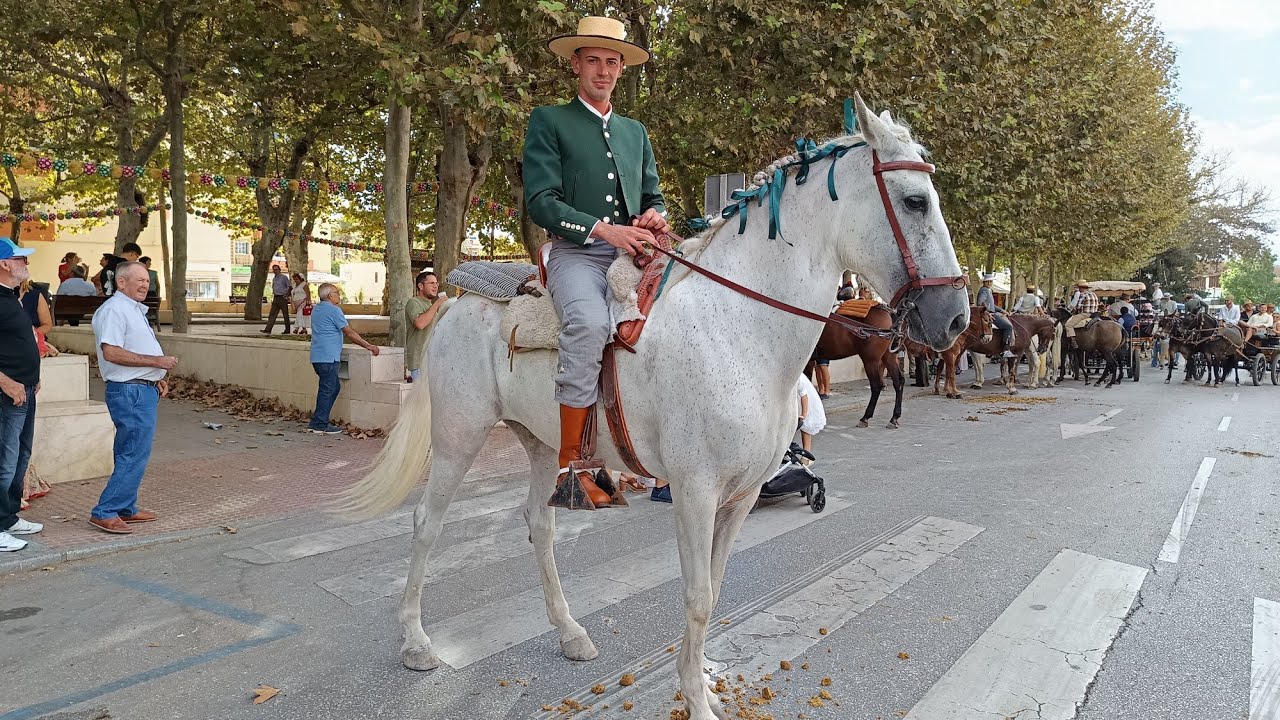 🐴 Concurso de Atalaje en la Real Feria de San Miguel/25 de Vélez Málaga (Málaga)