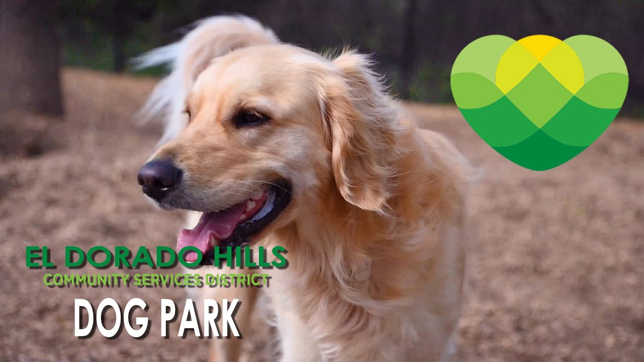 Park Tours El Dorado Hills Community Dog Park YouTube