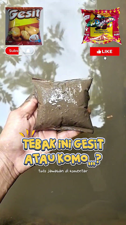 Download lagu guess this is agile or komo (680) #short