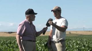 TPS Lab presents Field Reports - Part 6 Sugar Beets: From Disaster to Success