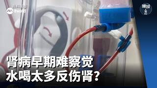 狮城有约 | 肾病早期难察觉 哪些人要特别注意？