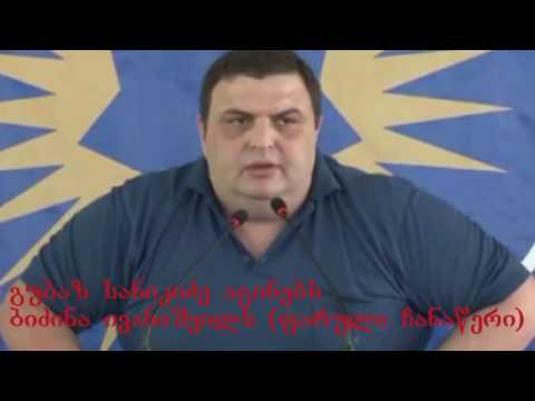 გუბაზ სანიკიძე აგინებს ბიძინა ივანიშვილს (ფარული ჩანაწერი)