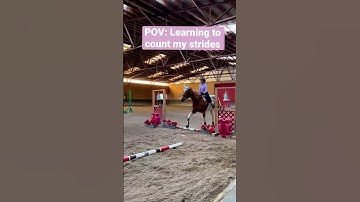 Learning to count strides to get a good distance # #equestrian #horseriding #ponyclub #horse #pony