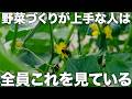 園芸が一気に上手くなる、たった1つの方法【農園芸ラジオ】