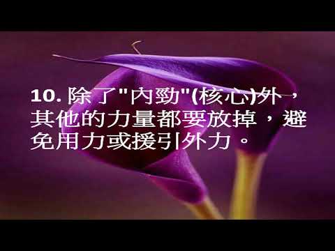 國標舞技術與探討30