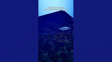 So i made it out of spawn island in replay mode #shorts #fortnite