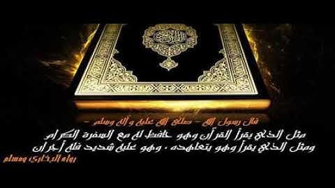 القران الكريم : بصوت القارئ هاني الرفاعي 🎧 من سورة الشعراء الى سورة الجاثية