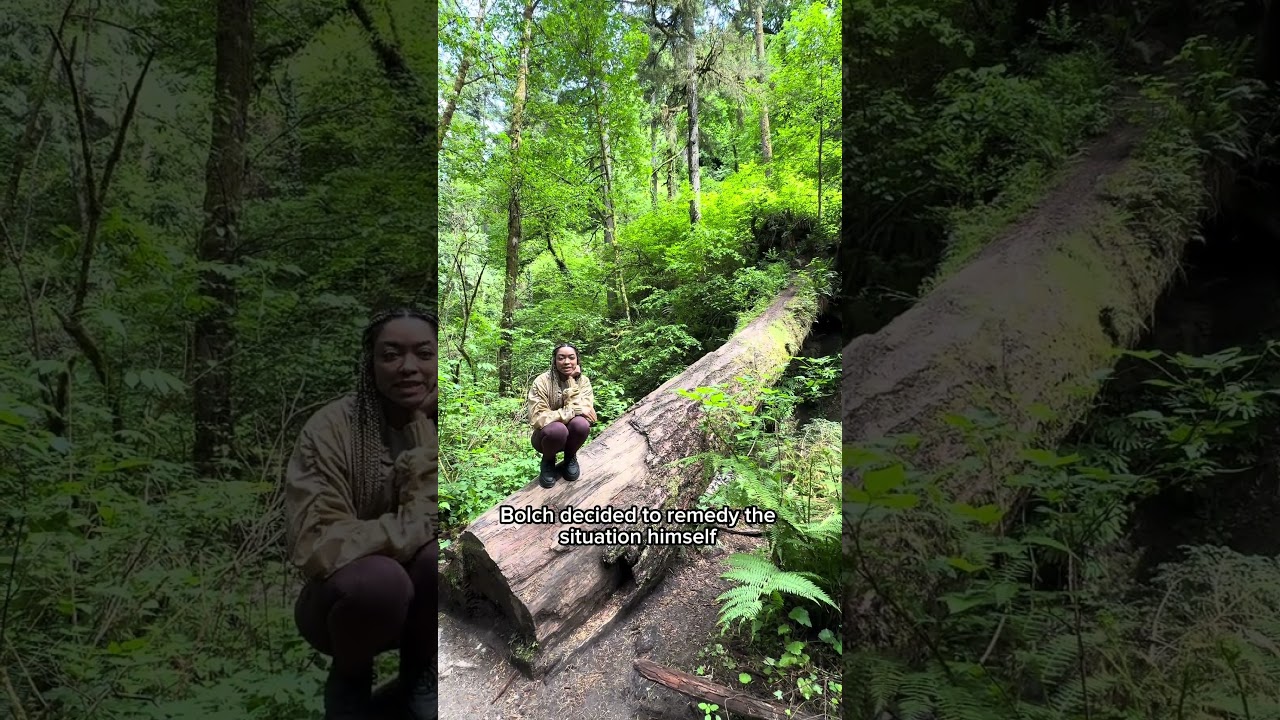 Come With Us To Explore Witch's Castle in Portland, Oregon 