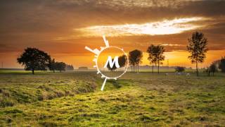 Benjamin Fehr - Late Sun