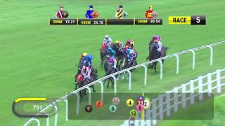 Vidéo de la course PMU PRIX LIM'S CRUISER 2016 STAKES