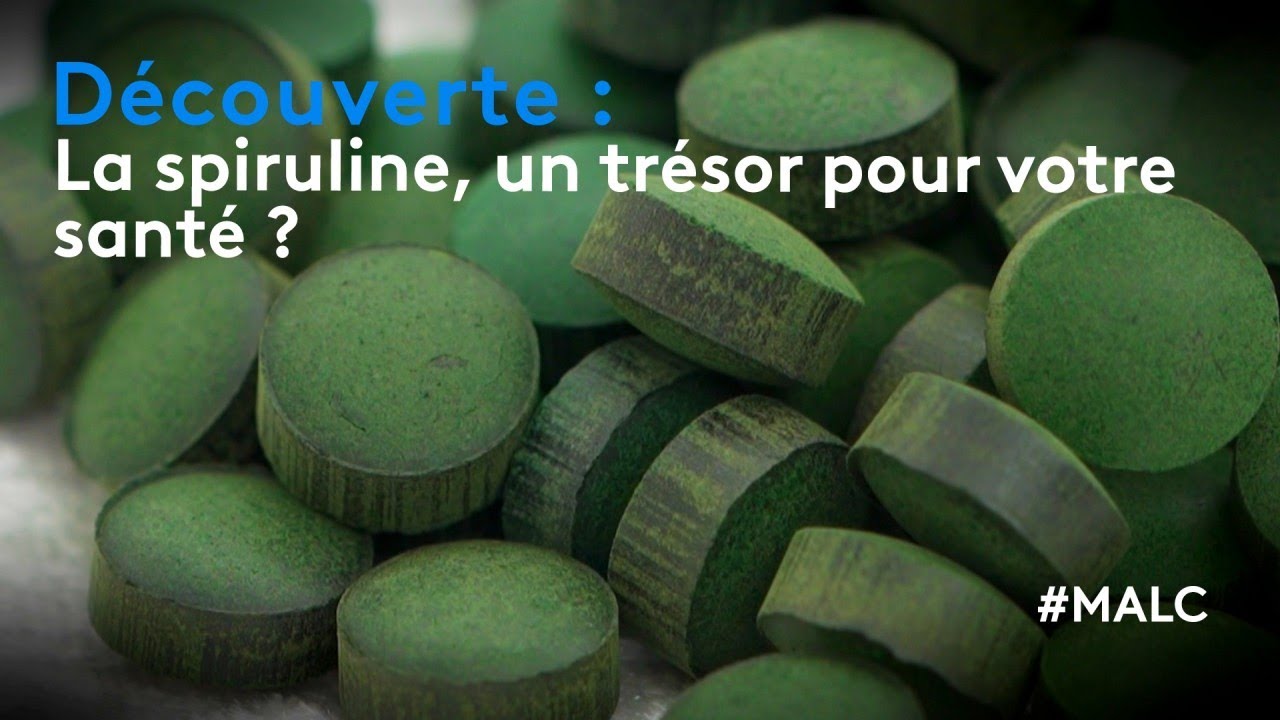 Découverte : la spiruline, un trésor pour votre santé ?