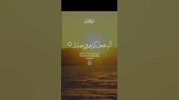 سورة الفيل #اكسبلور #لايك