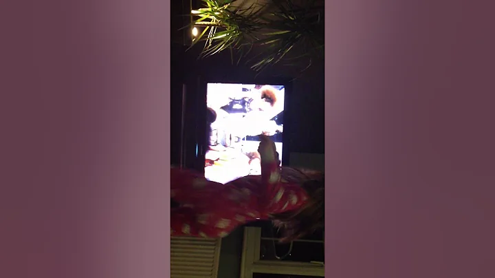 Leah Reeves Does Beyonce