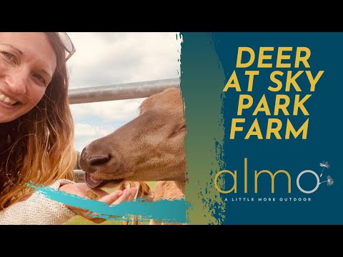 Must visit deer at Sky Park Farm