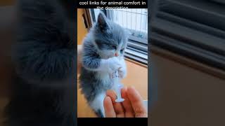 Top 😎 Funny animals videos - Try Not To Laugh 😂😆🤣 - 119 #Shorts