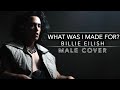 What Was I Made For? - Billie Eilish Cover (from &quot;Barbie&quot; Movie) Male Cover by Corvyx