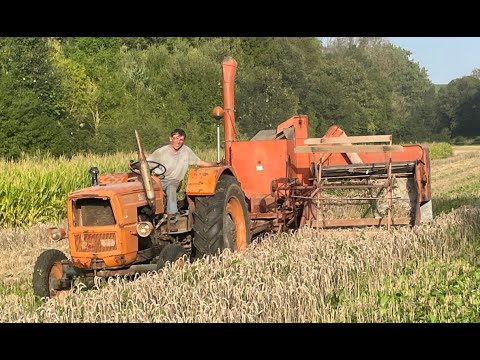 Moisson à l'ancienne