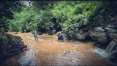 NORTHEASTERN ADVENTURE EP.17 // We Found A Cold And Warm Stream In Kanawa Forest Reserve