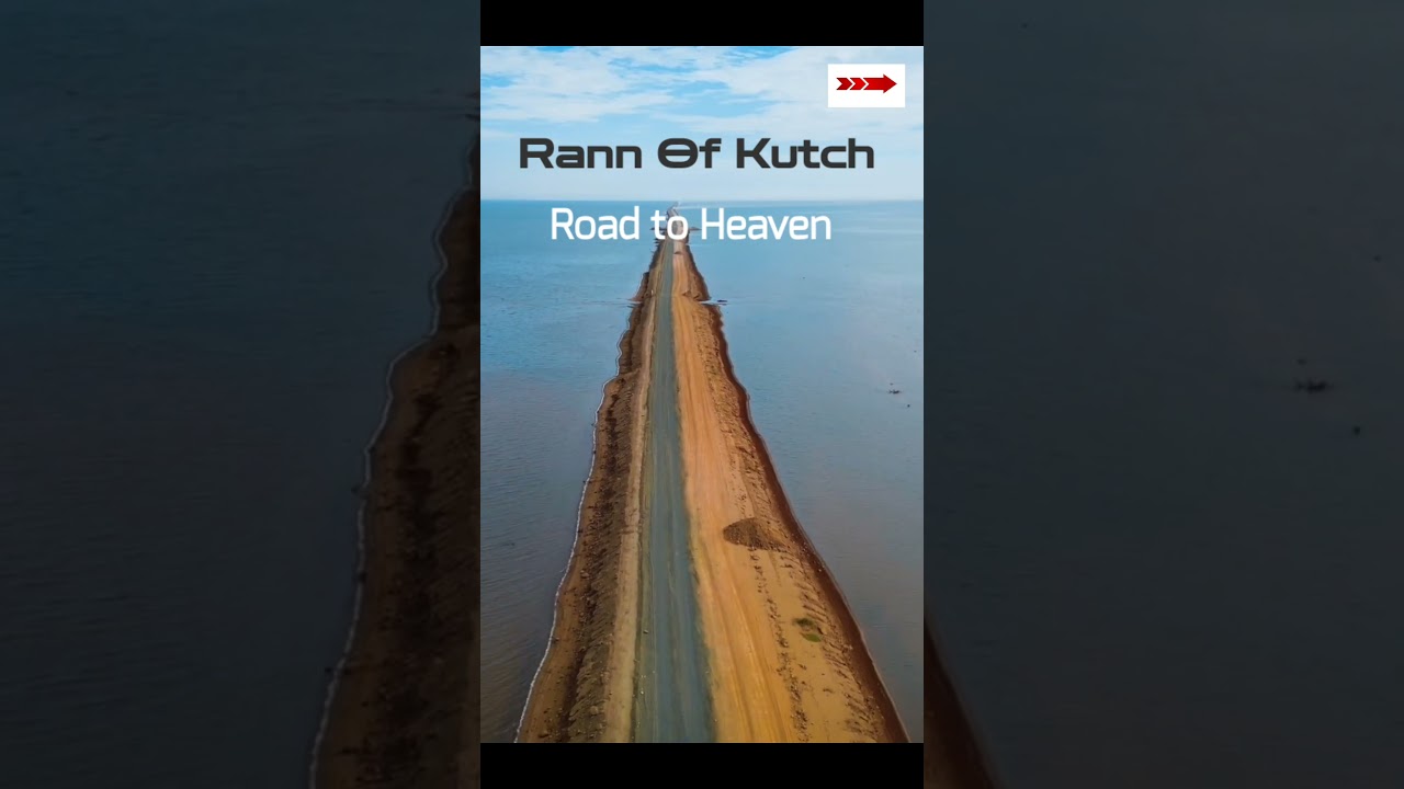 Rann of Kutch | white Desert of india | road to heaven | 