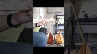 Belkıs Akkale _ Kibar Kız