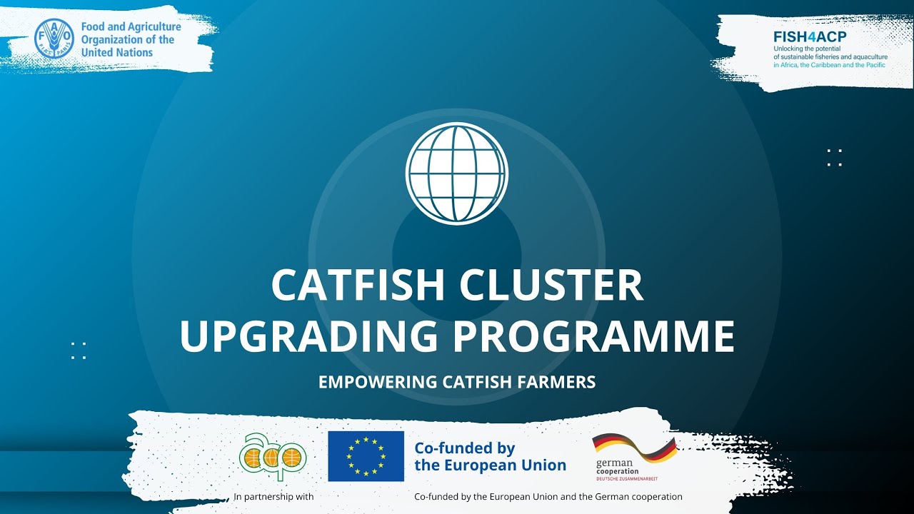 FISH4ACP Launch – Catfish Cluster Upgrading Programme in Kano, Nigeria