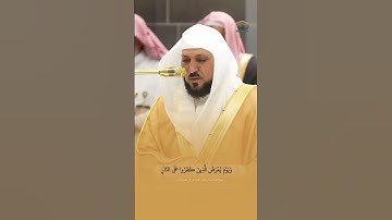 وَلَمْ يَعْيَ بِخَلْقِهِنَّ بِقَادِرٍ | تلاوة هادئه للسامعين | الشيخ #ماهر_المعيقلي | سورة الأحقاف