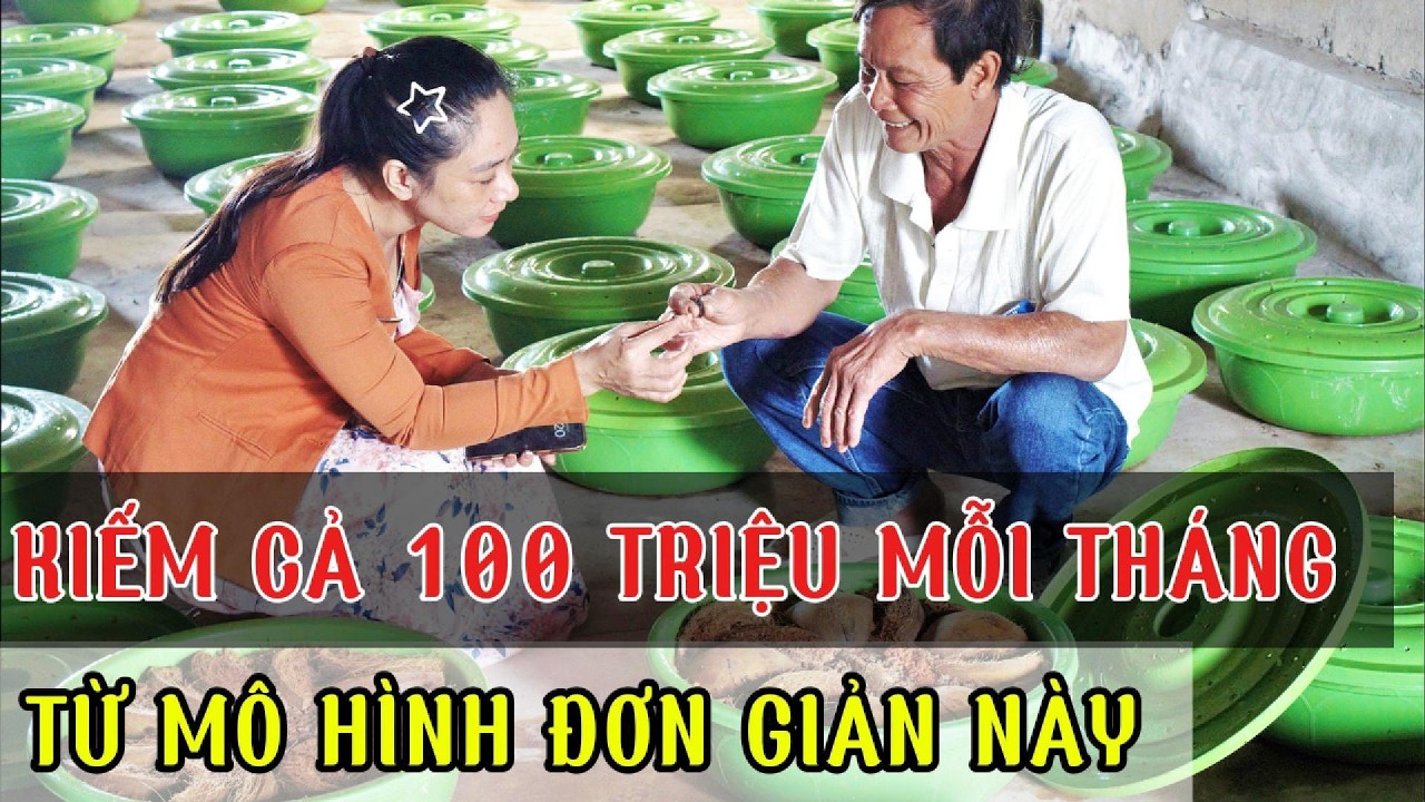 Mô Hình Nuôi Đuông Dừa Kiếm Tiền Tại Nhà – Vốn Ít Lợi Nhuận Cao Ở Nông Thôn