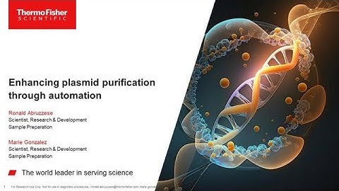 Enhancing Plasmid Purification through Automation