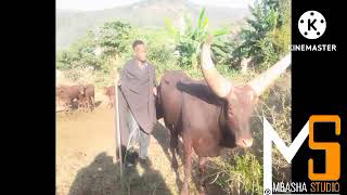 SHINGA MAGAJI_HARUSI YA DOTO_0789881924_MBASHA STUDIO_2022