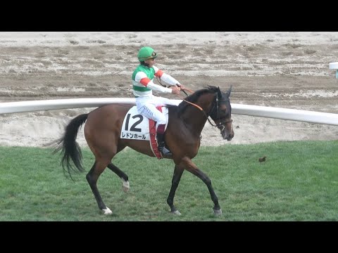 クセ馬】世界の名手 K.ティータンは暴れ馬をなんなく乗りこなす 現地