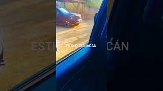 Culiacn Sinaloa shorts