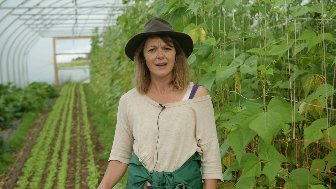 Market Gardening: From Soil to Sales