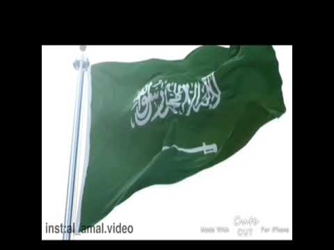 البرنامج الإرشادي للموهوبات محور المواطنة