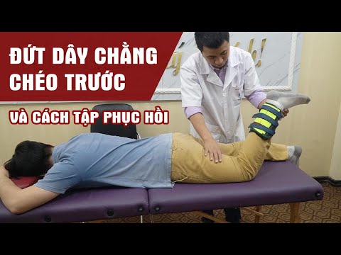Video Hướng Dẫn Bệnh Nhân Đứt Dây Chằng Chéo Trước Tập Sau... - youtube