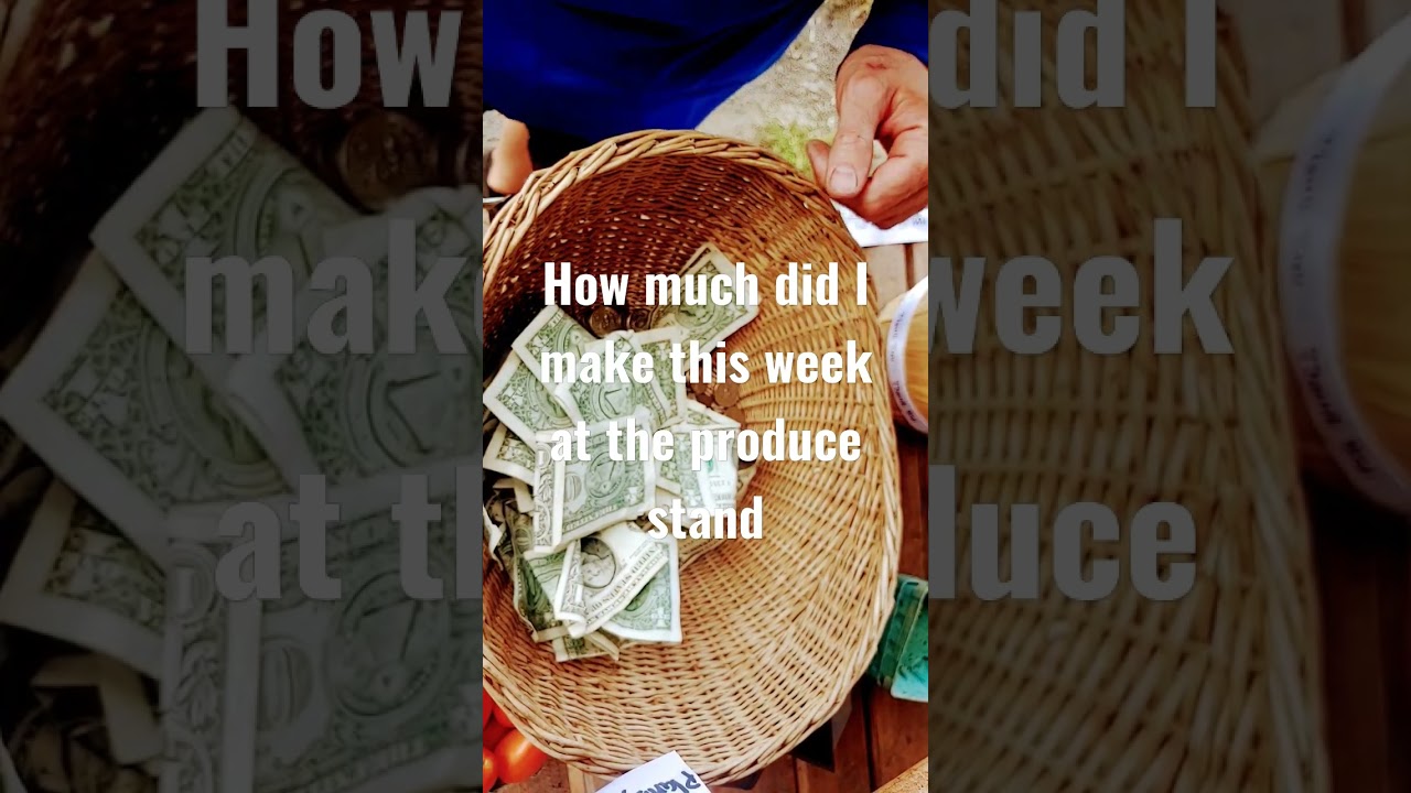 How much did I make this week at the stand