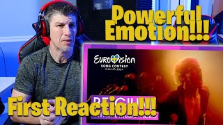 Mustii - Before the Party’s Over | Belgium 🇧🇪 | Official Music Video | Eurovision 2024 REACTION!!!
